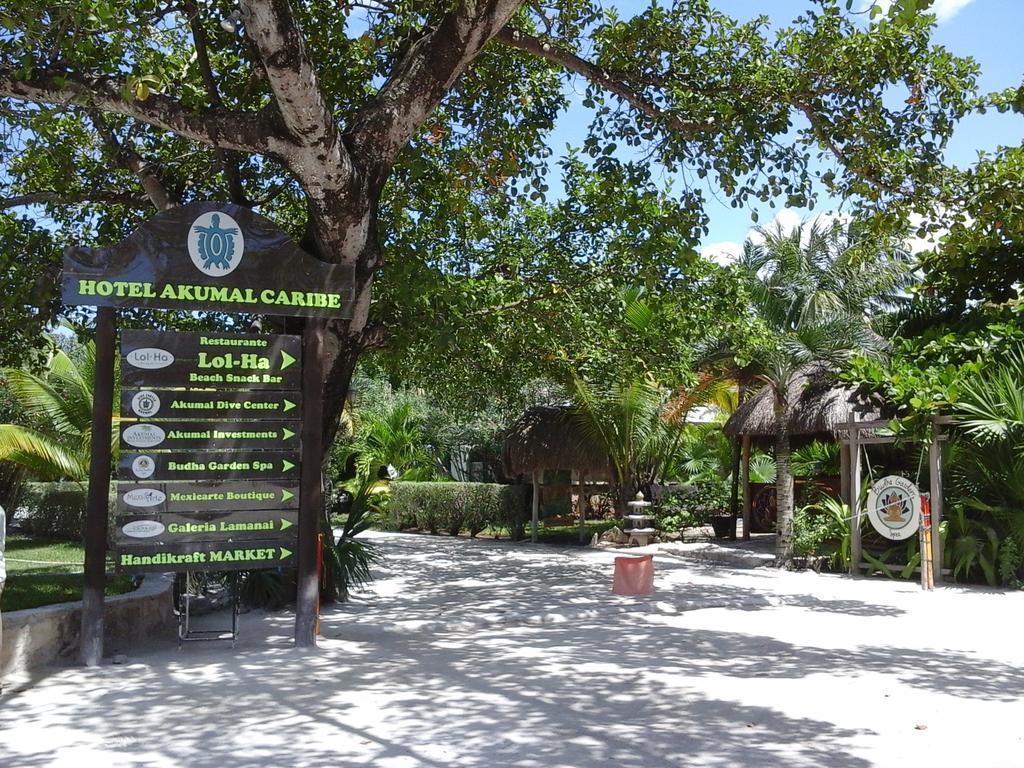 Hotel Club Akumal Caribe Екстер'єр фото